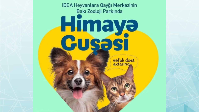 Zooparkda ənənəvi olaraq Himayə Guşəsi sərgisi təşkil olunacaq