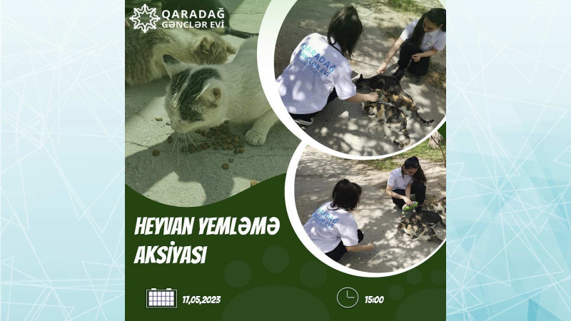 Qaradağ rayonunda gənclər evsiz heyvan yemləmə aksiyası keçirəcəklər