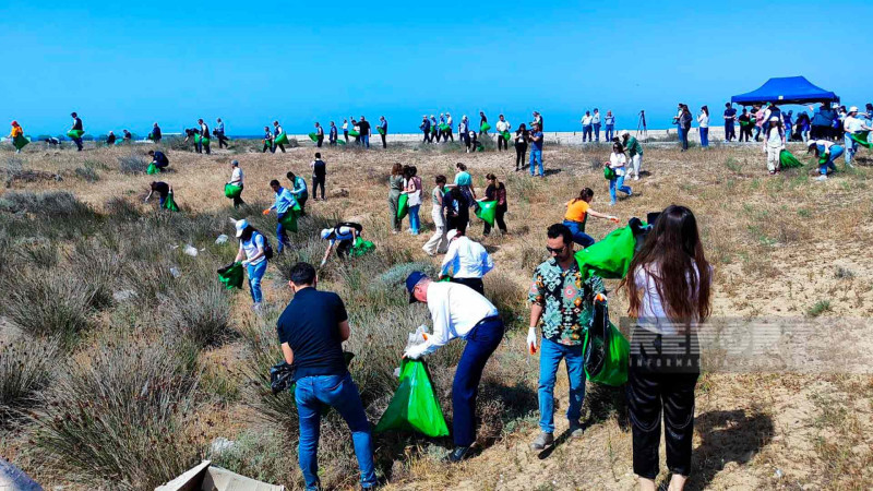 Zirədə dəniz sahilində iməcilik keçirilib