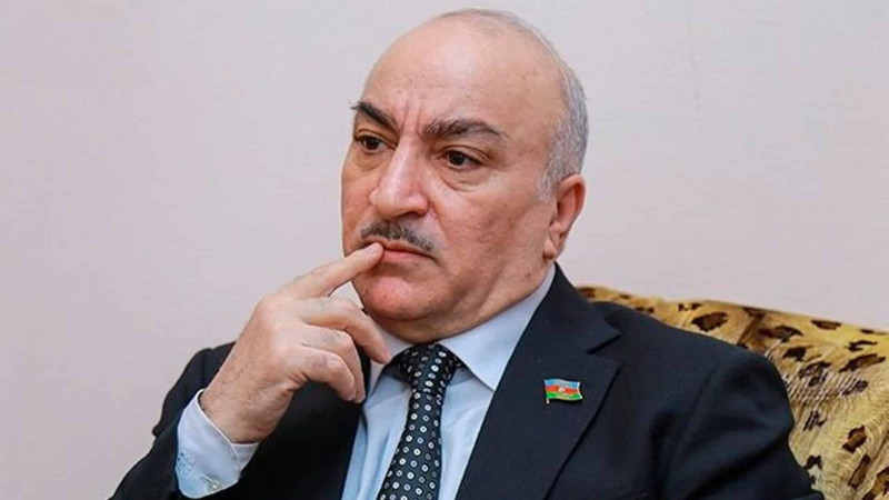 Millət vəkili Bakıda yayılan həşaratlardan və evsiz itlərdən narazıdır: “İndi nə edək, itləri yığıb Koreyaya sataq?”