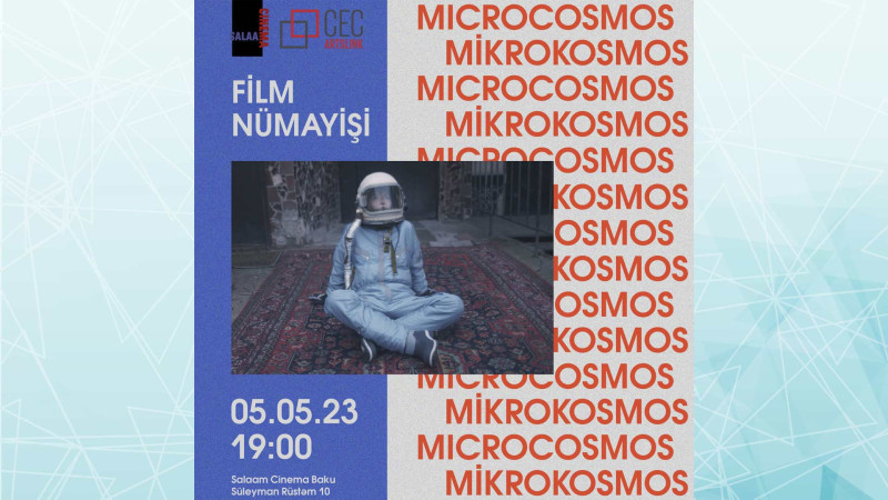 Bakıda Ukraynalı sənətçinin filmi nümayiş olunacaq