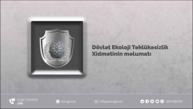 Bakıda qanunsuz ağac kəsimləri aşkarlanıb