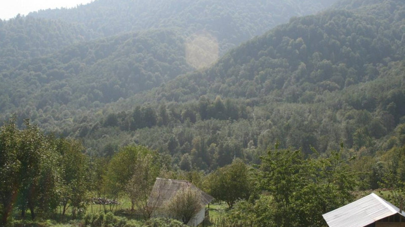 Gəzməyə gedən Bakı sakini Lerikdə dərəyə düşüb