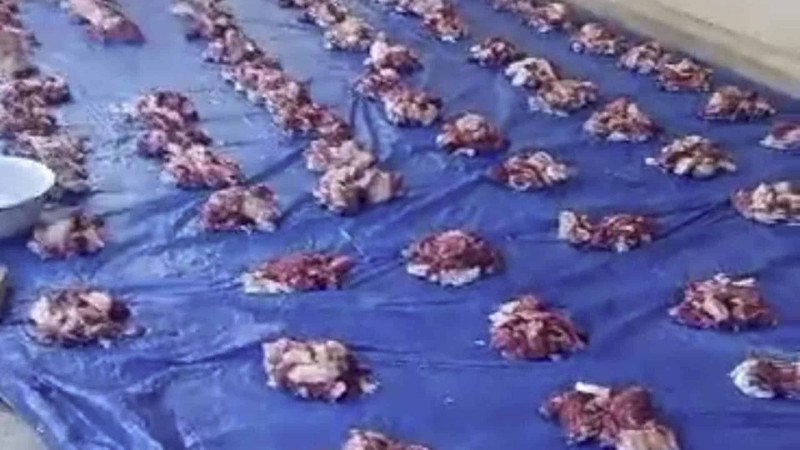 Bakıda 120 aztəminatlı ailəyə Qurban payı çatdırılıb