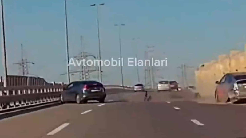Zığ şosesində “Honda” dayanmış “Prius”a çarpılıb