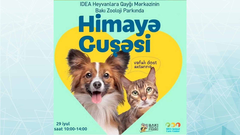 Bakı İdman Sarayında sərgi keçirilir