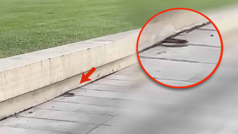 Paytaxtın mərkəzində ilan görüntülənib