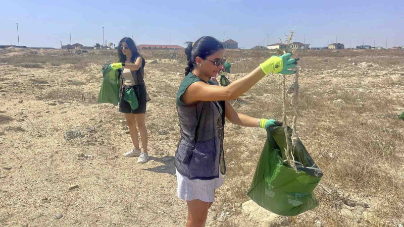 Bilgəhdə 2 hektar ərazi təmizlənib