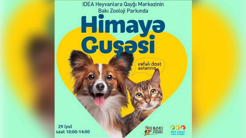 Zooparkda sahibsiz heyvanlara sahiblənmək istəyənlər üçün tədbir keçiriləcək