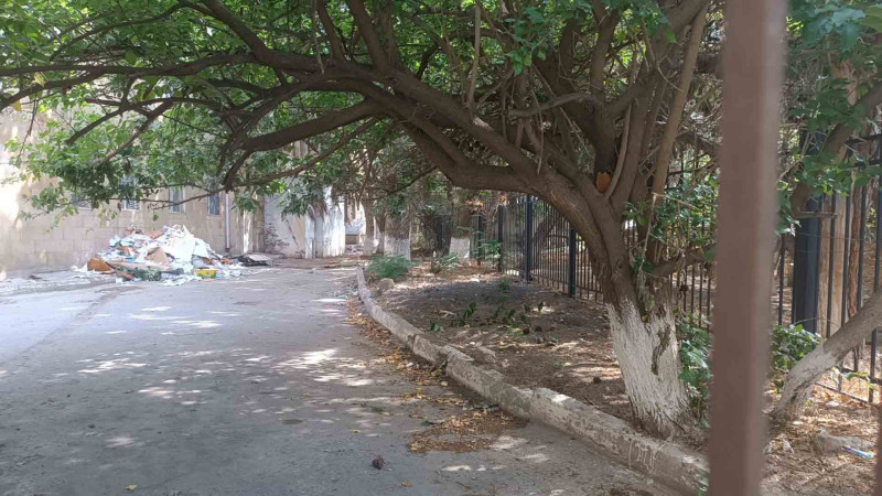 Nərimanovda 40 illik ağaclar kəsilir - İDDİA - FOTO