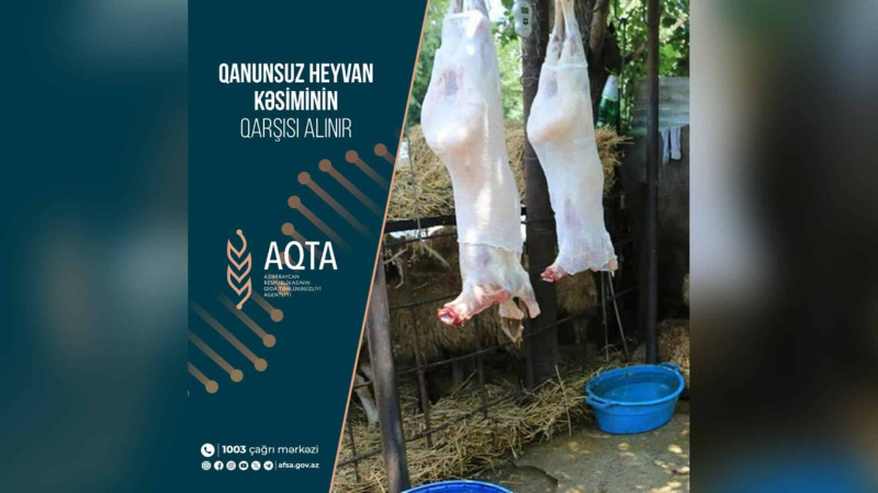 Paytaxtın müxtəlif ünvanlarında heyvan kəsimi məntəqələri yoxlanılıb