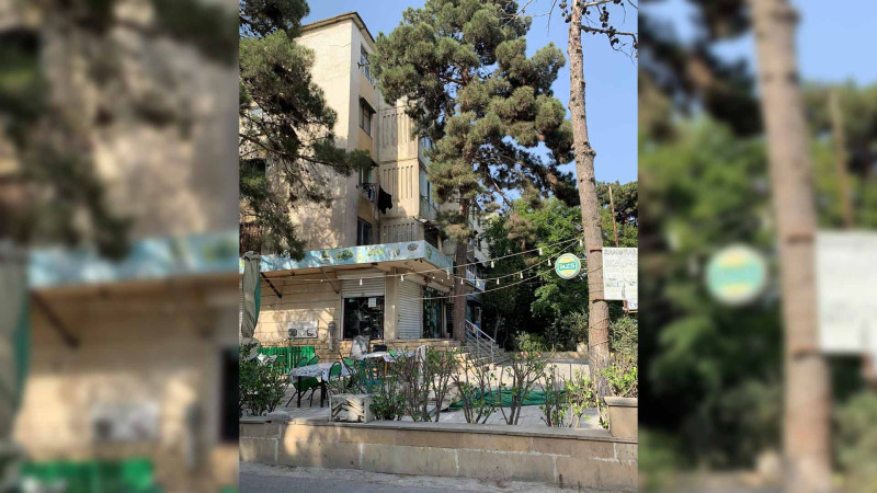 Nizami rayonunda irigövdəli ağac pilləkənə betonlanıb