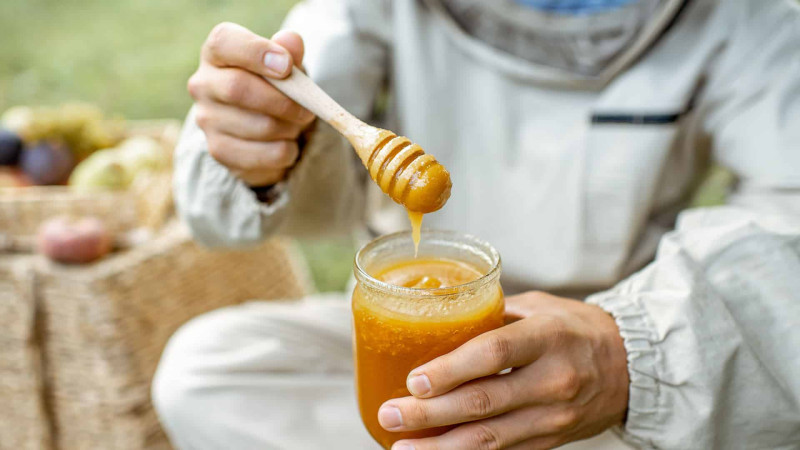 Bakıda payızda növbəti dəfə bal yarmarkası təşkil olunacaq