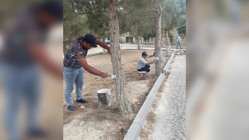 Xəzərdə genişmiqyaslı iməcilik keçirilib