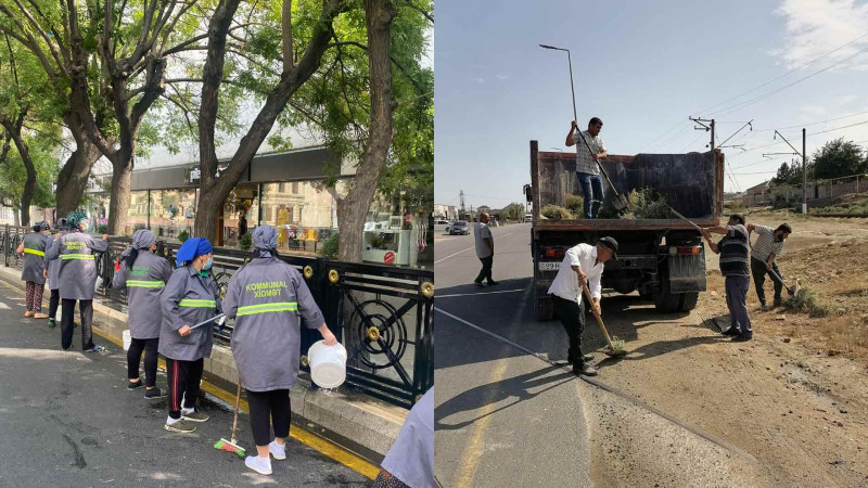 Bakının iki rayonunda iməcilik tədbirləri keçirilib