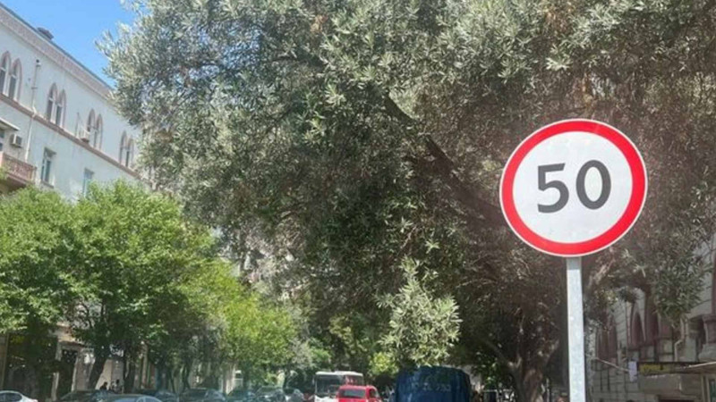 Növbəti küçədə sürət həddi endirilib