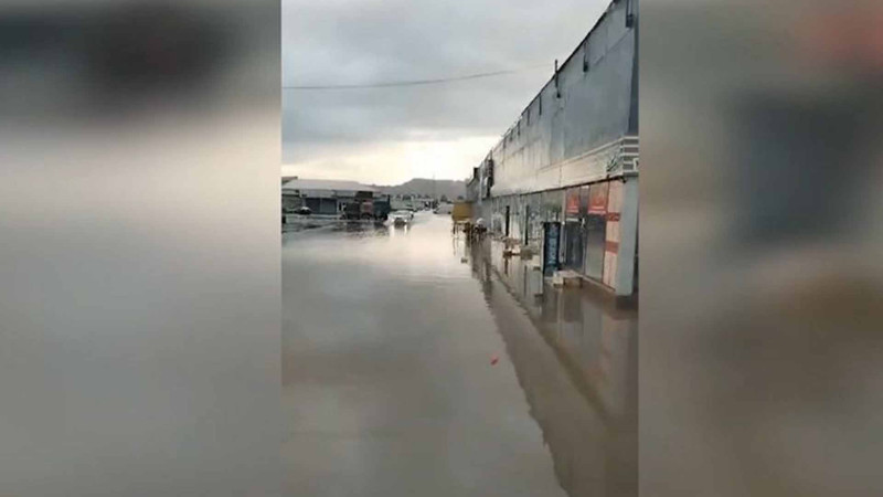“Binə” və “Sədərəkdə” ziyan çəkən sahibkarlara ödəniş olunacaq