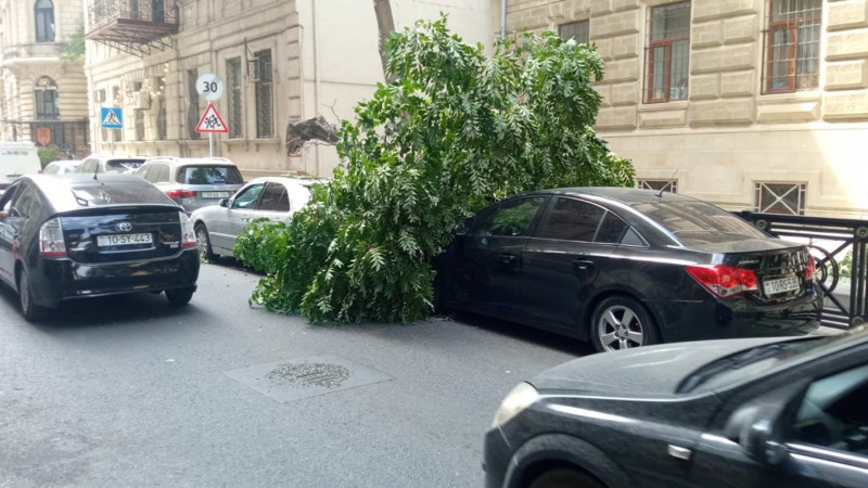 Nasimidə güclü küləyə görə 2 avtomobilə ziyan dəyib