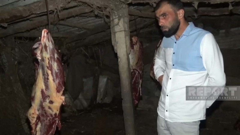 Bakıda antisanitar şəraitdə kəsilən at ətini satmaq istəyən şəxslər saxlanılıblar