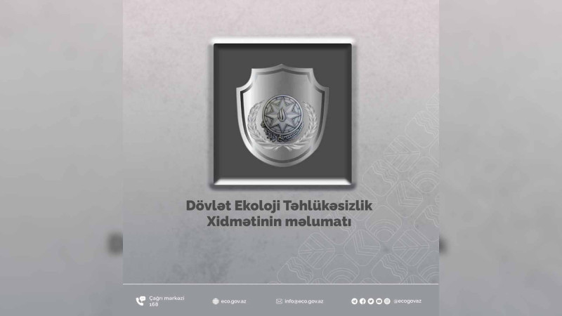 Bakının 3 rayonunda ağaclar qanunsuz şəkildə kəsilib