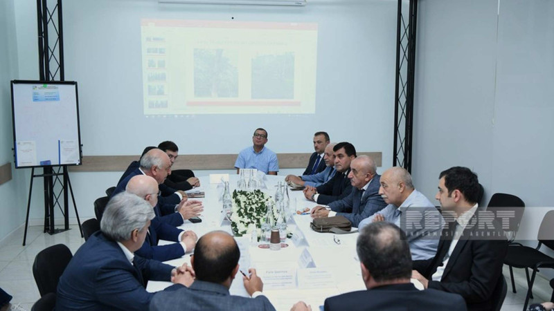 ETSN: 128 qurumuş və qəzalı ağacın götürülməsi müzakirə edilib