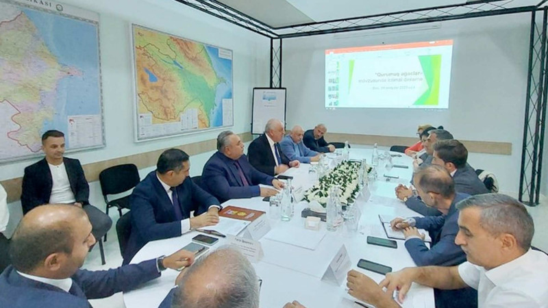 Bakıda 200-dən çox qurumuş ağacın götürülməsi ilə bağlı ictimai dinləmələr keçirilib