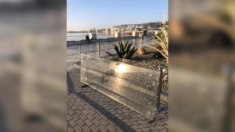 Bakı bulvarında olan kaktuslar vandallardan mühafizə olunub