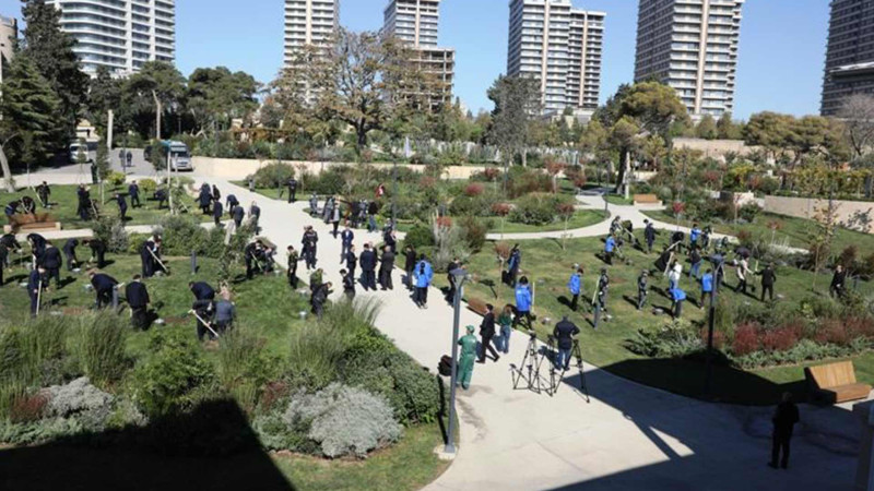 Bakıdakı parklarda ağacəkmə aksiyaları keçirilib