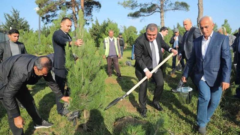 Xətai rayonunda Zəfər Gününə həsr olunmuş ağacəkmə aksiyası baş tutub