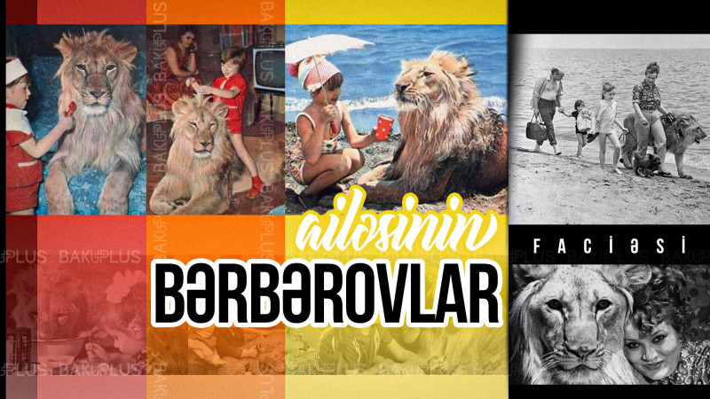 Evlərində şir saxlayan bakılı ailənin faciəsi