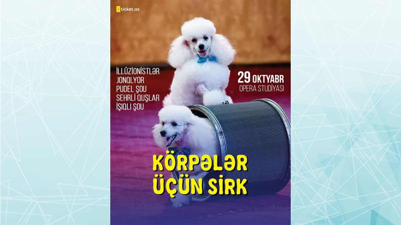 Bakıda uşaqlar üçün sirk-teatr tamaşası keçiriləcək