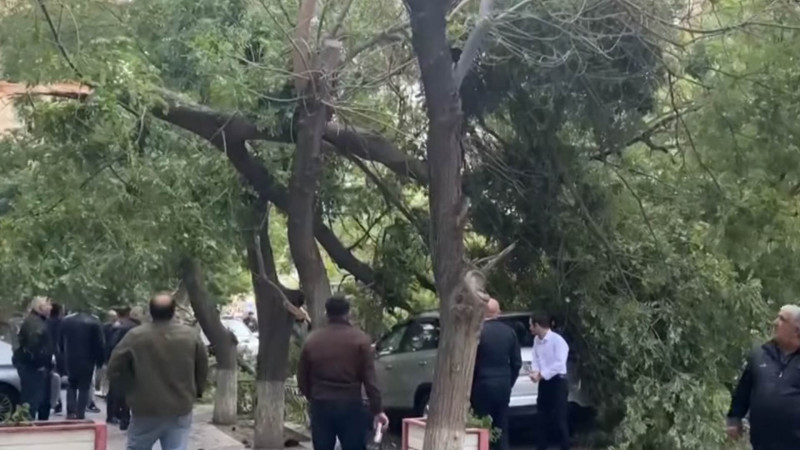Nərimanovda güclü külək ağacı avtomobilin üstünə aşırıb