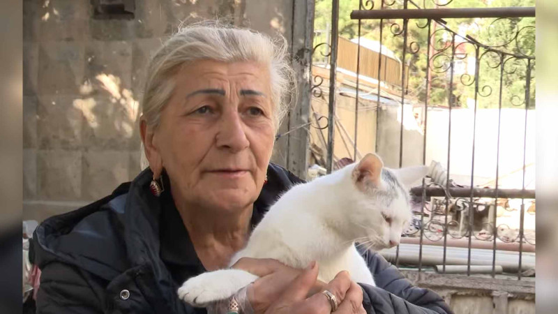 Bakıda yaşlı qadın dörd pişiklə birgə bir ildən çoxdur ki, küçədə qalır – VİDEO