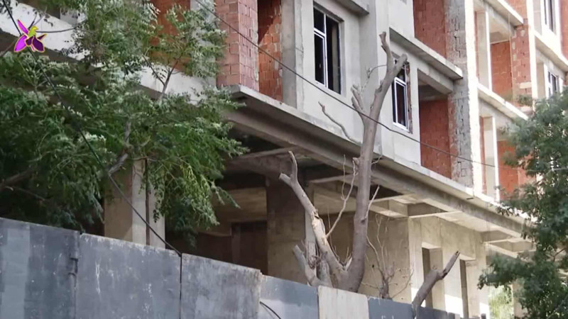 Bakıda inşaat aparılan ərazidə ağaclar qəfil qurumağa başlayıb – İDDİA