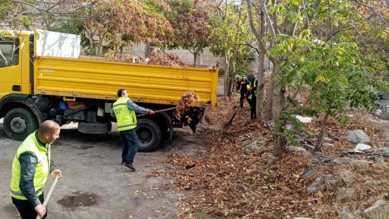 Nəsimi rayonunda növbəti iməcilik keçirilib