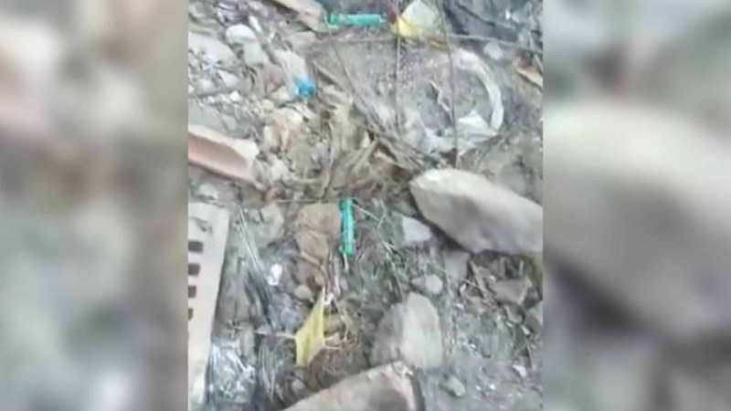 “Üç Tac” yaxınlığındakı gölün ətrafında narkomanlar toplaşır – VİDEO