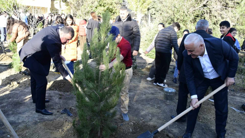 Xətai rayonunda 800 ağac əkilib