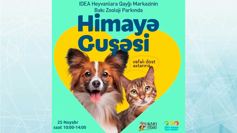 Zooloji Parkda ev heyvanlarının sərgisi baş tutacaq