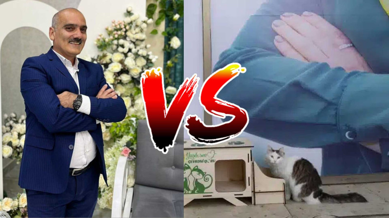 Xəbər portalının baş redaktoru evsiz heyvanlar üçün sığınacaqların quraşdırılmasına qarşı çıxıb