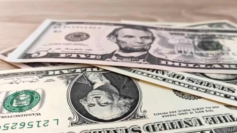 Zədələnmiş dollarımızı harada dəyişək? Ekspertlər cavab verirlər – VİDEO