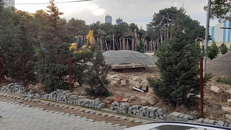 7-ci mikrorayonda yaşıllıqlar məhv olunaraq ərazidə tikinti işlərinə başlanılıb – FOTO