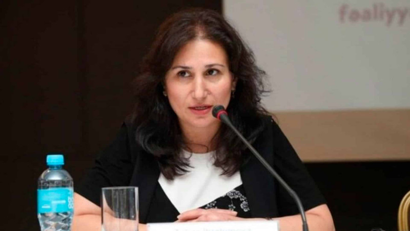 Azərbaycanda qayınana, qayınatanın kənardan ailəyə müdaxilələri məişət zorakılığı hesab olunacaq