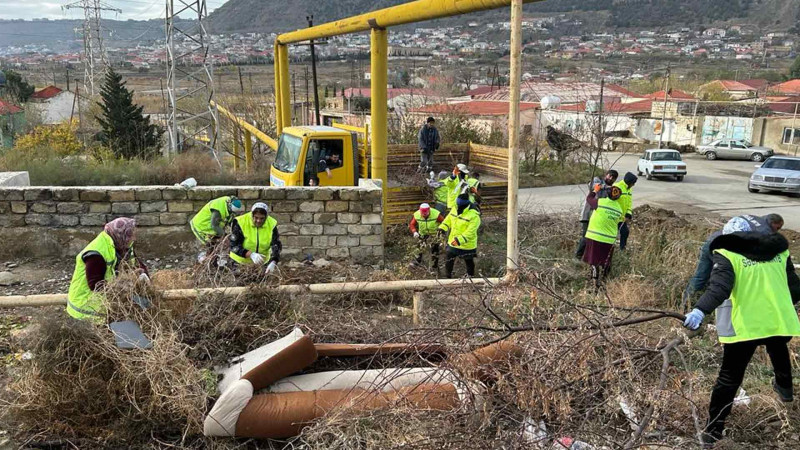 Səbaildə ümümrayon iməciliyi keçirilib