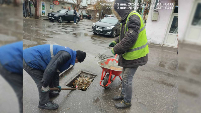 Nəsimidə kürəbənd barmaqlıqlarına baxış keçirilib