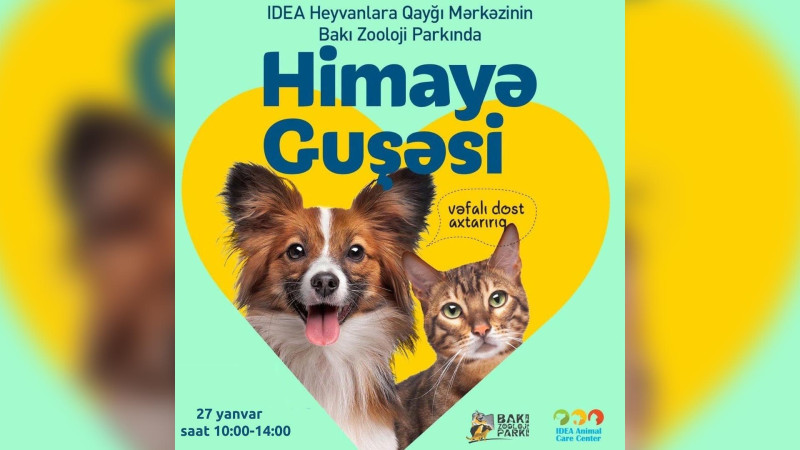 Zooparkda sahibsiz heyvanlara yiyələnmək istəyənlər üçün növbəti himayə guşəsi təşkil olunacaq