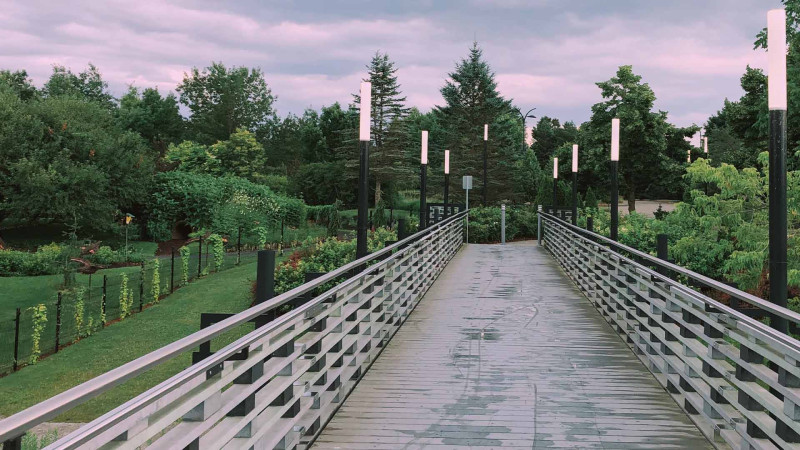 Xocahəsən gölündə Nəbatat Parkının yaradılması nəzərdə tutulur