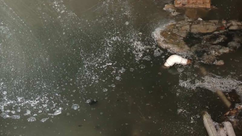 Nərimanovda binanın zirzəmisinə su dolub: üfunət, ağcaqanad, antisanitariya vəziyyəti – VİDEO