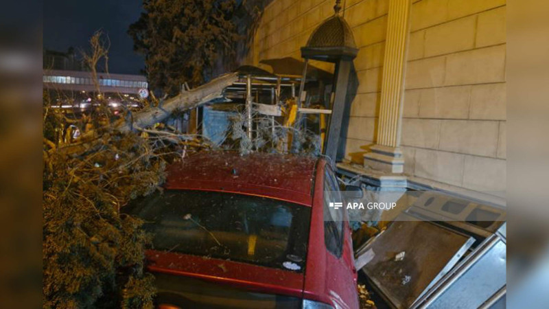 Heydər Əliyev prospektində “Prius” ağacı yerindən qoparıb
