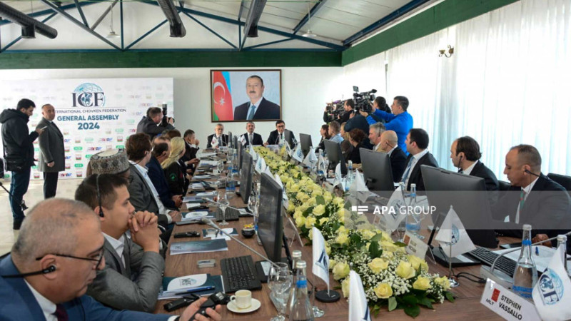 Beynəlxalq Çövkən Federasiyası yaradılır