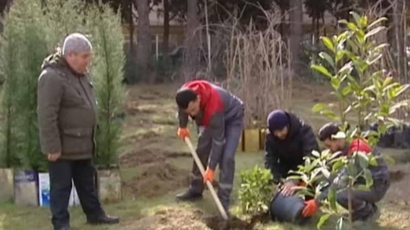 Mərkəzi Nəbatat Bağında hansı 3 bitki xüsusi sayılır?